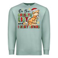 On The Naughty List And I Regret Nothing Premium Sweatshirt | Teevron