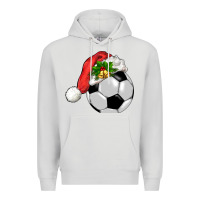 Dove Grey Christmas sports Premium Hoodie - BarkalooDesign