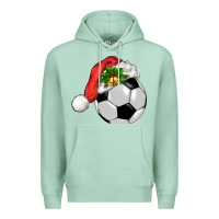 Seafoam Christmas sports Premium Hoodie - BarkalooDesign