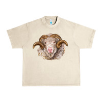 Sandshell merino wool ram Urban Heavy Tee - BarkalooDesign