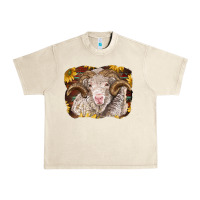Sandshell merino ram with sunflowers Urban Heavy Tee - BarkalooDesign