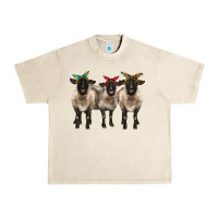 Sandshell 3 sheeps suffolk ewe with bandana Urban Heavy Tee - BarkalooDesign