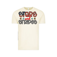Vintage Arctic stars and stripes Vintage Tee - CowhideDigitalArt