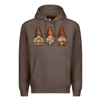 Coffee fall gnomes Premium Hoodie - SublimationCraftShop