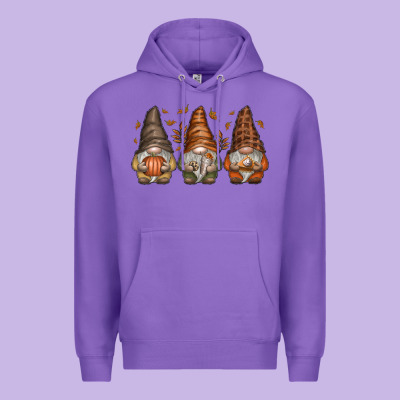 Fall Gnomes Premium Hoodie Designed By Sublimationcraftshop