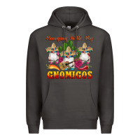 Smoke hanging with gnomigos Premium Hoodie - Artiststas