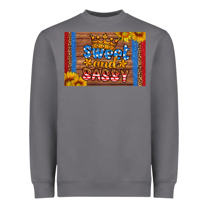 Usa Sweet And Sassy Skinny Metal Can Holder Heavyweight Sweatshirt by HRA Design Shop | Teevron