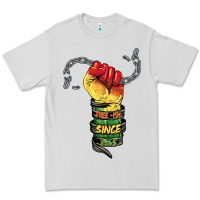 Dove Grey free ish since 1865 Premium Tee - BarkalooDesign
