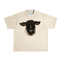 Sandshell suffolk ewe head Urban Heavy Tee - BarkalooDesign