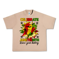 Burro celebrate juneteenth know your history Urban Heavy Tee - HRA Design Shop