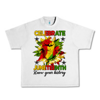 Lunar Rock celebrate juneteenth know your history Urban Heavy Tee - HRA Design Shop