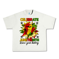 Pistachio celebrate juneteenth know your history Urban Heavy Tee - HRA Design Shop
