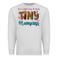 Dove Grey its a good day to teach tiny humans Premium Sweatshirt - NancyCooperArtShop
