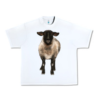 White suffolk ewe front Urban Heavy Tee - BarkalooDesign