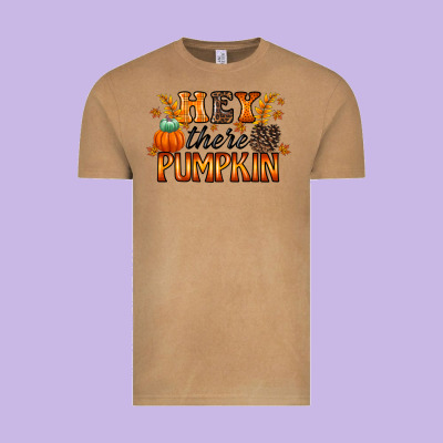 Hey There Pumpkin Vintage Tee Designed By Racoondesign
