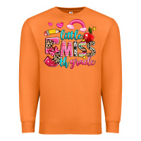 Carrot little miss fifth grade Premium Sweatshirt - NancyCooperArtShop
