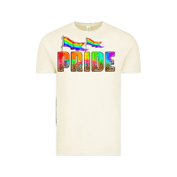 Vintage Arctic pride Vintage Tee - HRA Design Shop