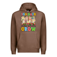 Chestnut 100 days watching my students grow Premium Hoodie - Artiststas