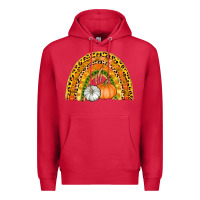 Cardinal fall rainbow Premium Hoodie - AdoDesignShop