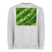 Heather Grey St. Patrick's Day leopard tumbler Heavyweight Sweatshirt - Neo Western
