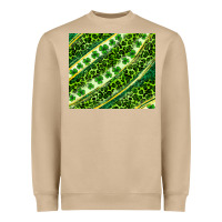 Mushroom St. Patrick's Day leopard tumbler Heavyweight Sweatshirt - Neo Western