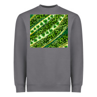 Storm St. Patrick's Day leopard tumbler Heavyweight Sweatshirt - Neo Western