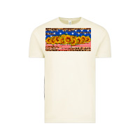 Vintage Arctic usa flag sunflowers license plate Vintage Tee - HRA Design Shop