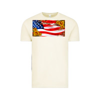 Vintage Arctic usa flag and sunflower license plate Vintage Tee - HRA Design Shop