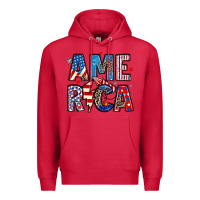 Cardinal america 4th of july Premium Hoodie - Artiststas