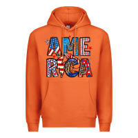 Carrot america 4th of july Premium Hoodie - Artiststas