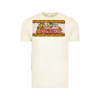 Vintage Arctic god bless america sunflower license plate Vintage Tee - HRA Design Shop