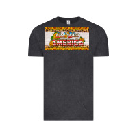 God Bless America Sunflower License Plate Vintage Tee | Teevron