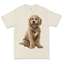 Bone goldendoodle Premium Tee - BarkalooDesign