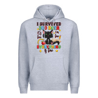 Heather Grey i survived 100 days it's fine i'm fine Premium Hoodie - Artiststas