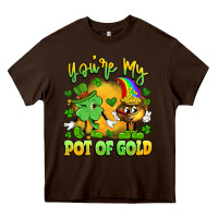 Chocolate Brown you're my pot of gold Heavy Core Tee - Artiststas