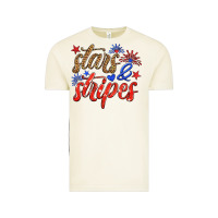 Vintage Arctic stars and stripes Vintage Tee - HRA Design Shop