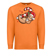 Carrot cute christmas sloth Premium Sweatshirt - MaliasSmallBusiness