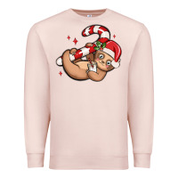 Pale Pink cute christmas sloth Premium Sweatshirt - MaliasSmallBusiness
