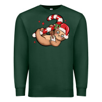 Sports Green cute christmas sloth Premium Sweatshirt - MaliasSmallBusiness