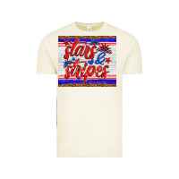 Vintage Arctic stars and stripes tumbler Vintage Tee - HRA Design Shop