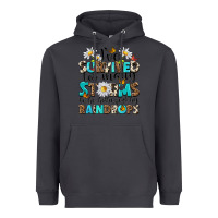 Smoke ive survived too many storms to be bothered by rai Heavyweight Hoodie - NancyCooperArtShop