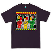 Plum black independence day juneteenth tumbler Premium Tee - BarkalooDesign