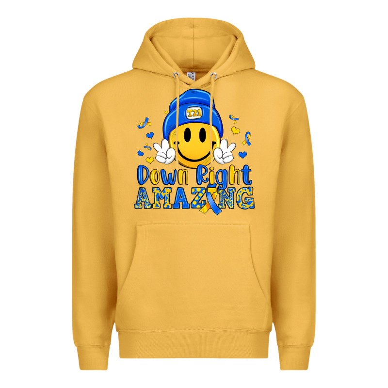 Down Right Amazing Premium Hoodie by Artiststas | Teevron