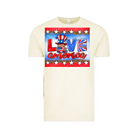 Vintage Arctic love america gnome Vintage Tee - HRA Design Shop