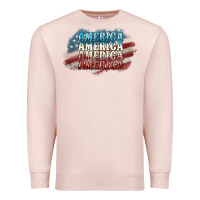 Pale Pink America america Premium Sweatshirt - NancyCooperArtShop