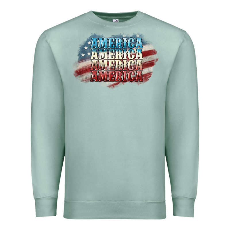 America America Premium Sweatshirt by NancyCooperArtShop | Teevron