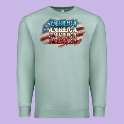 America America Premium Sweatshirt Designed By Nancycooperartshop