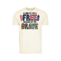Vintage Arctic land of the beacause of the brave Vintage Tee - CowhideDigitalArt