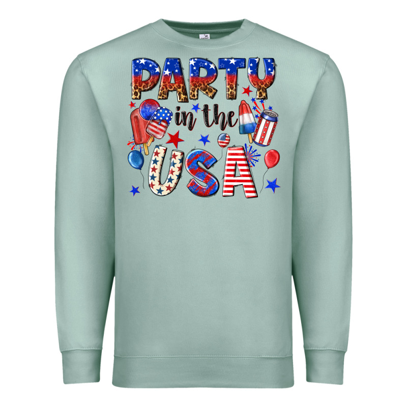 Party In The Usa Premium Sweatshirt by NancyCooperArtShop | Teevron