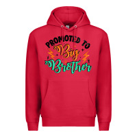 Cardinal promoted to big brother Premium Hoodie - Artiststas